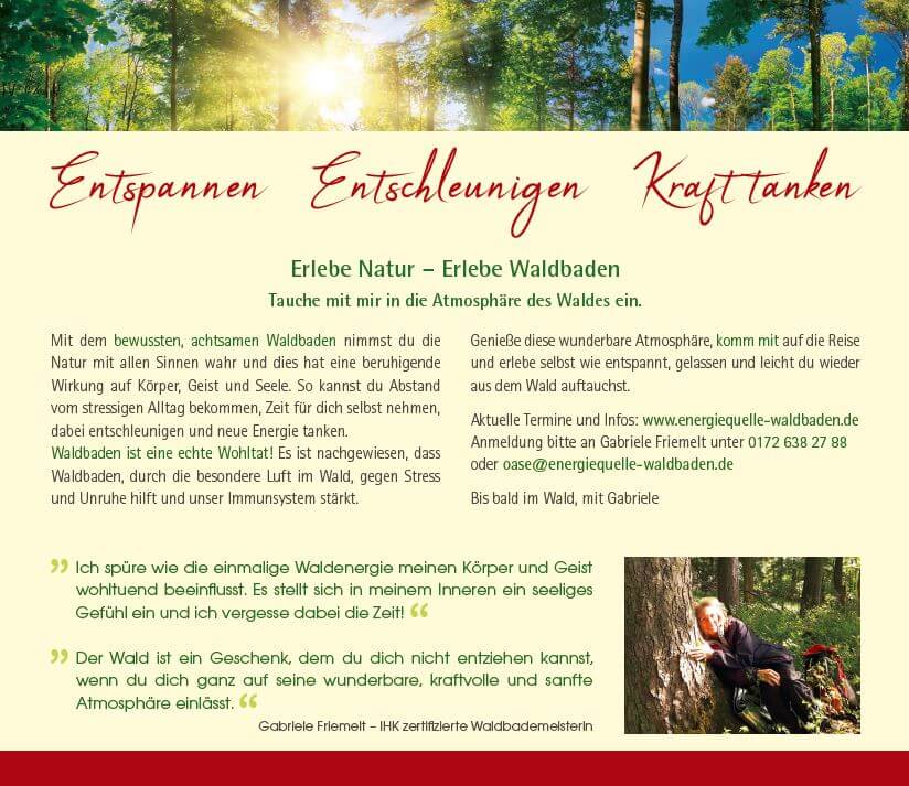 Deutsche Waldtage - Waldbaden zum Entspannen - Entschleunigen und Kraft tanken